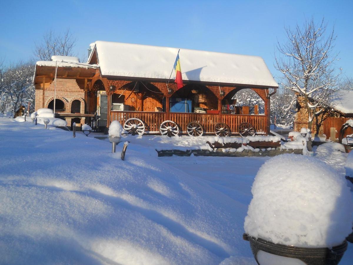 Pensiunea Roua Muntilor Sîmbăta de Sus Kültér fotó