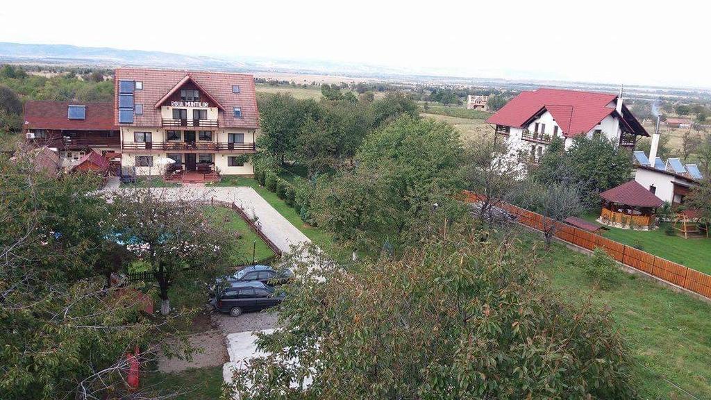 Pensiunea Roua Muntilor Sîmbăta de Sus Kültér fotó